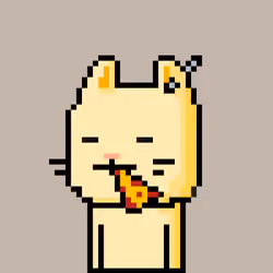 CityRabbit# 744