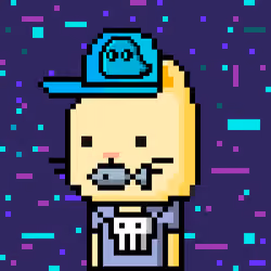 CityRabbit# 25