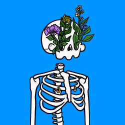 Sugar Skullz #3502