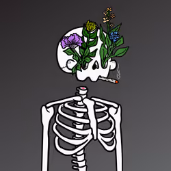 Sugar Skullz #1906
