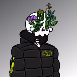 Sugar Skullz #744