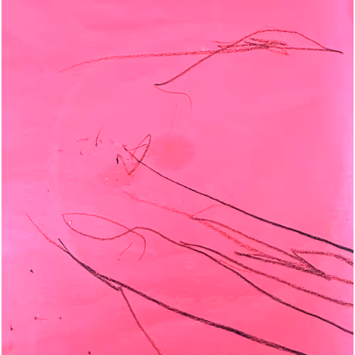 First Scribbles