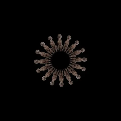 Item #200000002 Media