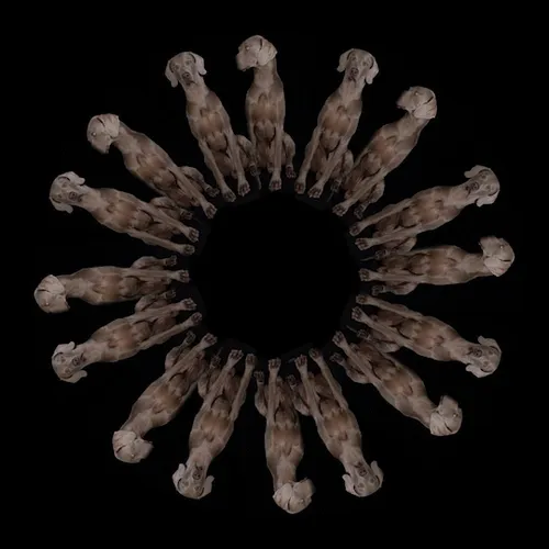 Item #300000003 Media