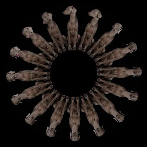 Item #100000002 Media