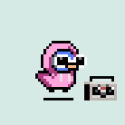 tiny birbz #322