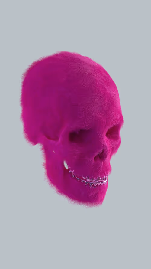 Item #9900020018 Media