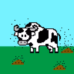 144