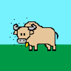 55