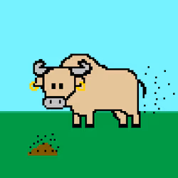 66