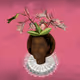 6035