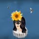 Flower Girl #333