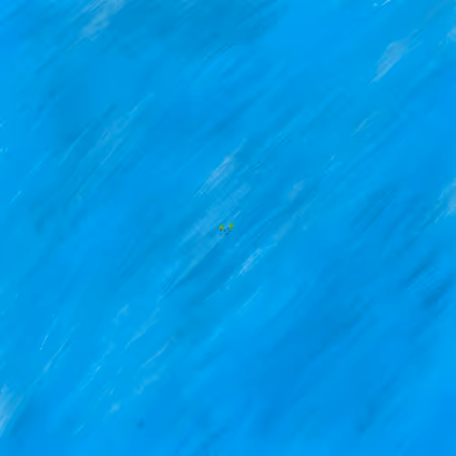 PunkHunter Auction House