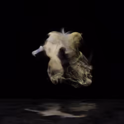 528