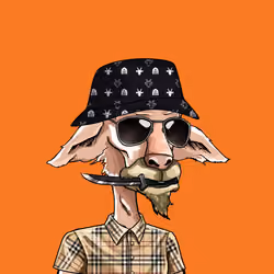 Goat Society #8498