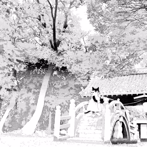 Quiet Black Color