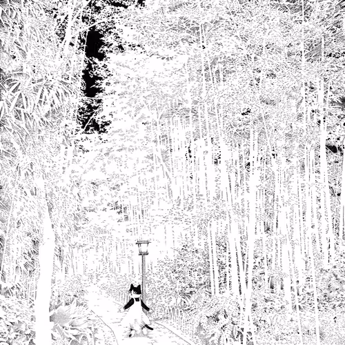 Quiet Black Color