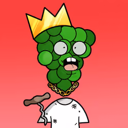 524