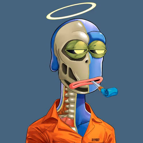 Anatomy Rare Apepe Yc
