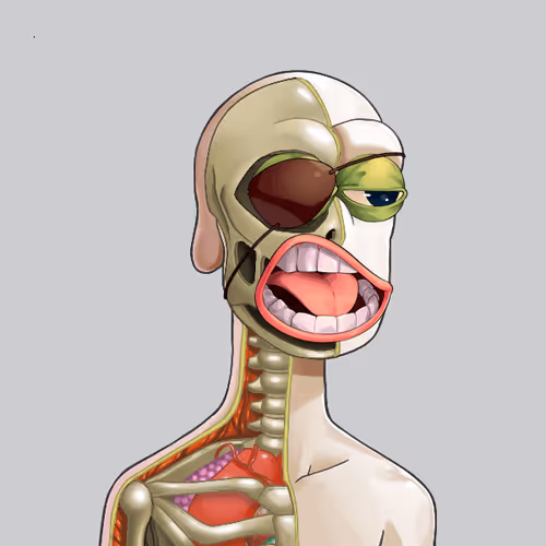 Anatomy Rare Apepe Yc