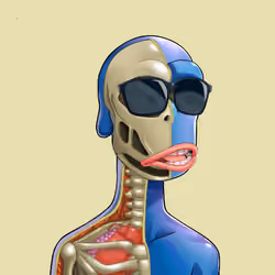 Anatomy Rare Apepe YC #2390