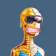 3795