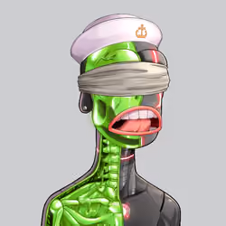 Anatomy Rare Apepe YC #3611