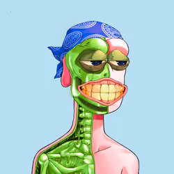 Anatomy Rare Apepe YC #2647