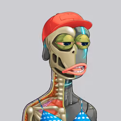 Anatomy Rare Apepe YC #2592