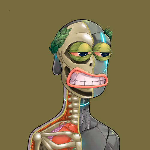 Anatomy Rare Apepe Yc