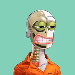 Anatomy Rare Apepe YC #1146