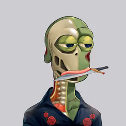 Anatomy Rare Apepe YC #3567