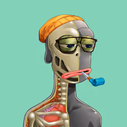 Anatomy Rare Apepe YC #7183