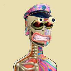 Anatomy Rare Apepe YC #3054