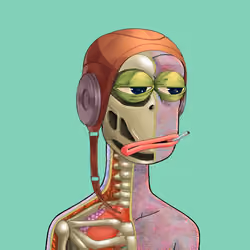 Anatomy Rare Apepe YC #1034