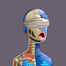 Anatomy Rare Apepe YC #3966