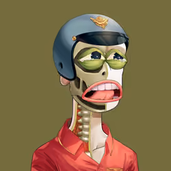 Anatomy Rare Apepe YC #7027