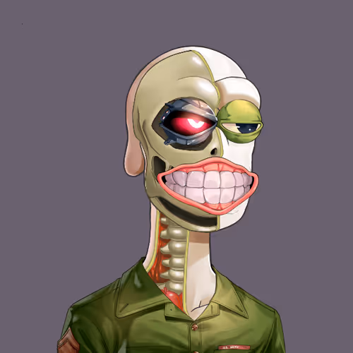 Anatomy Rare Apepe Yc