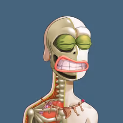 Anatomy Rare Apepe YC #1619