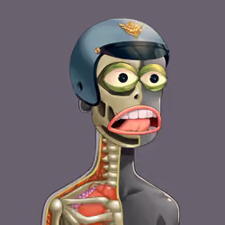 Anatomy Rare Apepe YC #3954