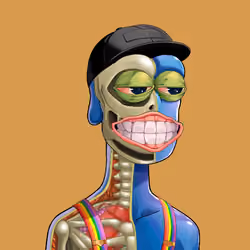 Anatomy Rare Apepe YC #6243