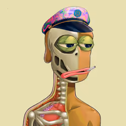 Anatomy Rare Apepe YC #6735