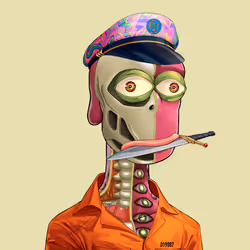Anatomy Rare Apepe YC #2377