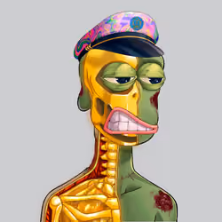 Anatomy Rare Apepe YC #2583