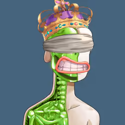 Anatomy Rare Apepe YC #3516