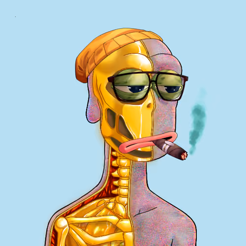 Anatomy Rare Apepe YC #2782
