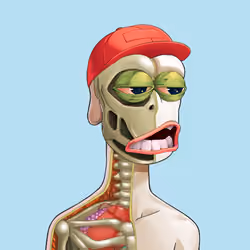 Anatomy Rare Apepe YC #3930