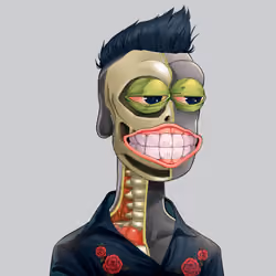 Anatomy Rare Apepe YC #5838