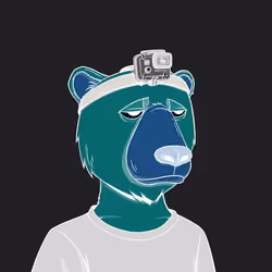 Mirror Bear #24