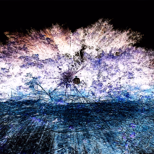 Mentograph #24